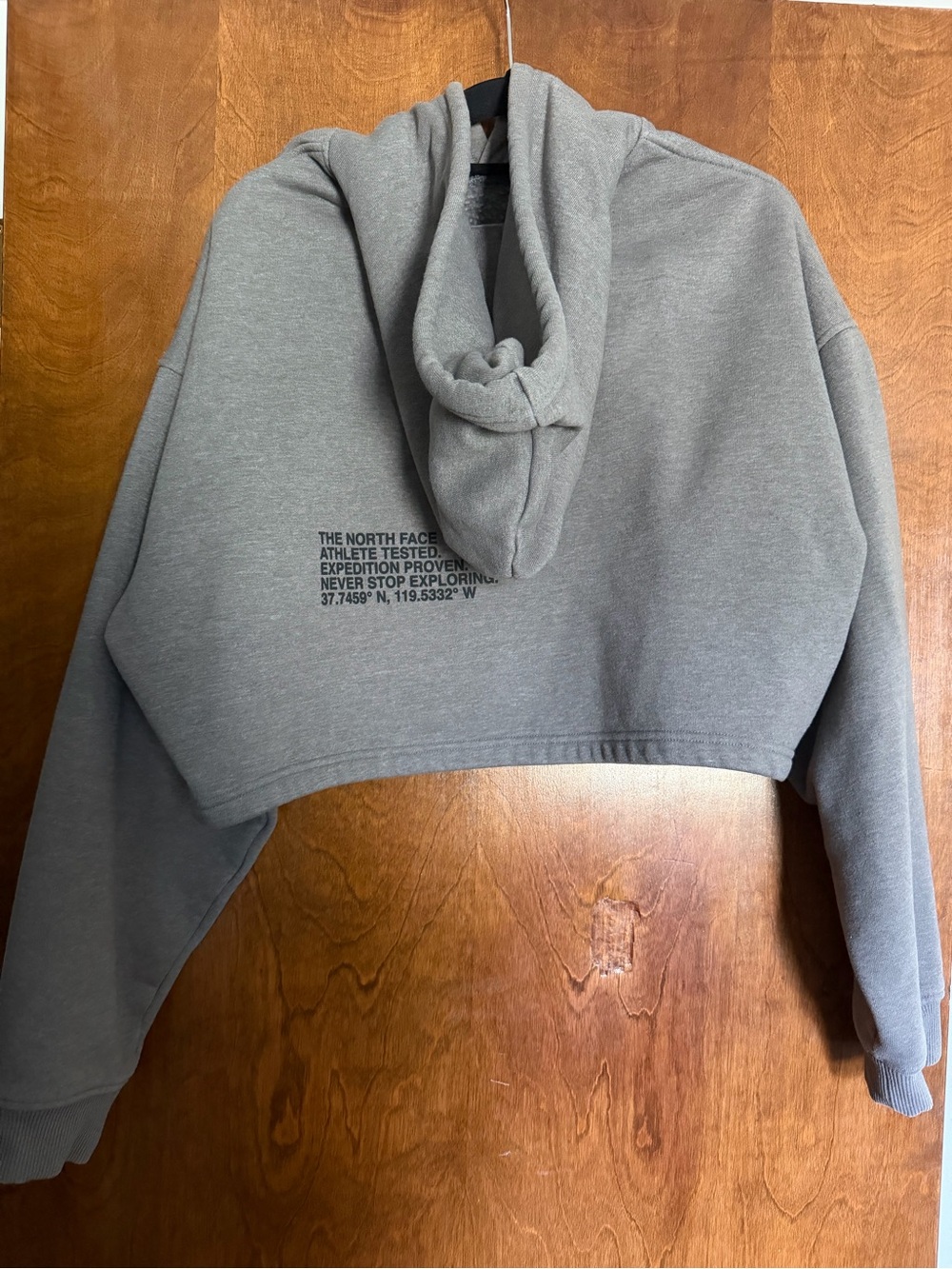 North Face Cropped Hoodie - Picture 3 of 5